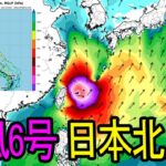 台風6号日本九州上陸予告（欧州中期予報センター）