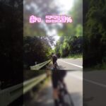 【TTできる山4】本編予告動画  ロードバイク 女子