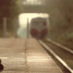 17年間駅に通い続けた犬の感動の物語　映画「⽯岡タロー」予告