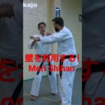 Mori Shihan 8thDan「壁を利用した護身術」森道治師範八段 [ Self-defense Aikido ] Aikido Yoshinkan Brisbane Dojo 豪州合氣道養神館