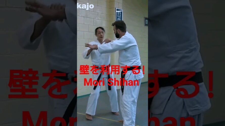 Mori Shihan 8thDan「壁を利用した護身術」森道治師範八段 [ Self-defense Aikido ] Aikido Yoshinkan Brisbane Dojo 豪州合氣道養神館