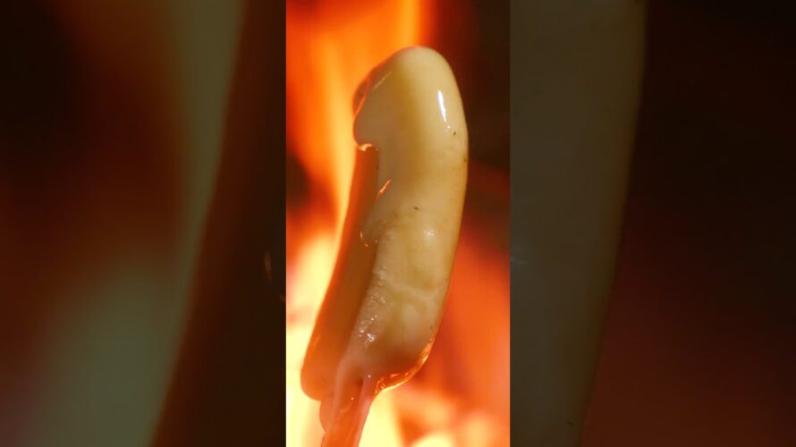 焚き火で作るダブルチーズハンバーグ予告　#Shorts