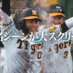 映画『阪神タイガースTHE MOVIE2023-栄光のARE-』ティザー予告映像