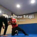 Harimau Silat_Martial Arts Self Defense Kali Silat  シラット 護身術
