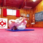 Kyokushin way and Graplling  Goshin jyutsu – Self Defense. 護身術