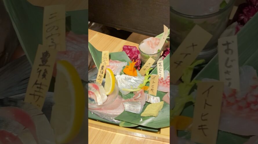 【次回予告】海老の踊り食い！？北海道では取れない新鮮な刺身が食べれるお店をご紹介！産地直送で激ウマ！#shorts