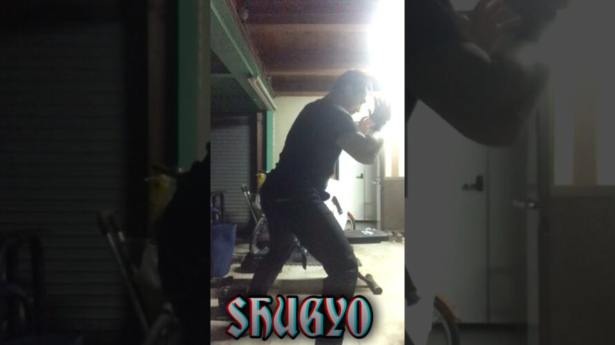 【SHUGYO】#筋トレ #workout #武道 #martialarts #護身術 #SelfDefense #合気道 #aikido楽曲元「d-elf.com」