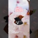 師匠シリーズ『桜雨』予告映像  #朗読