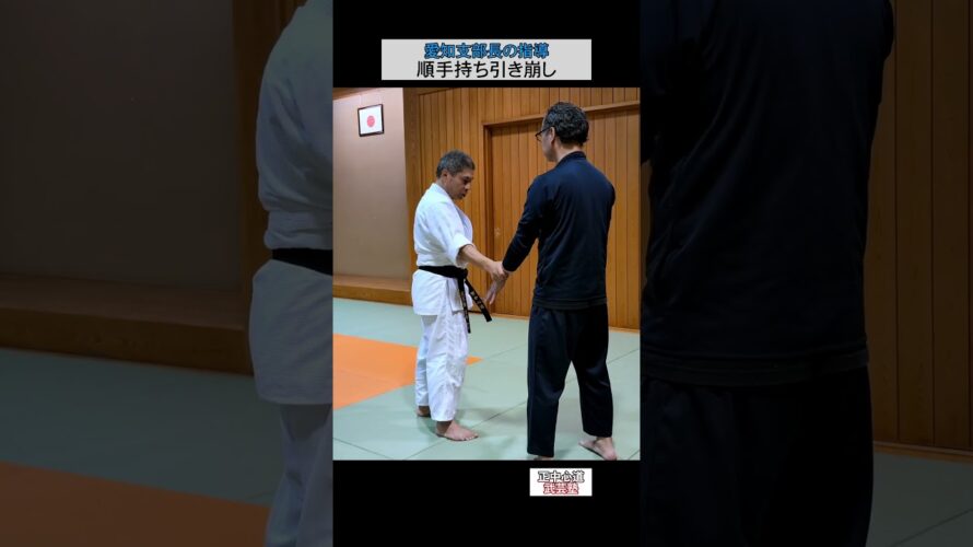 愛知支部長の指導　順手持ち引き崩し #short  #護身 #発勁 #合気 #aikido