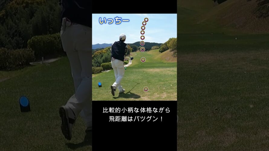 【予告】ゴルフ対決(VSいっちー)　※明日から#shorts