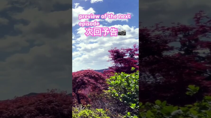 【次回予告】春の美しい山の自然🗾 Beautiful mountain nature in spring Japan🗾 preview of the next episode
