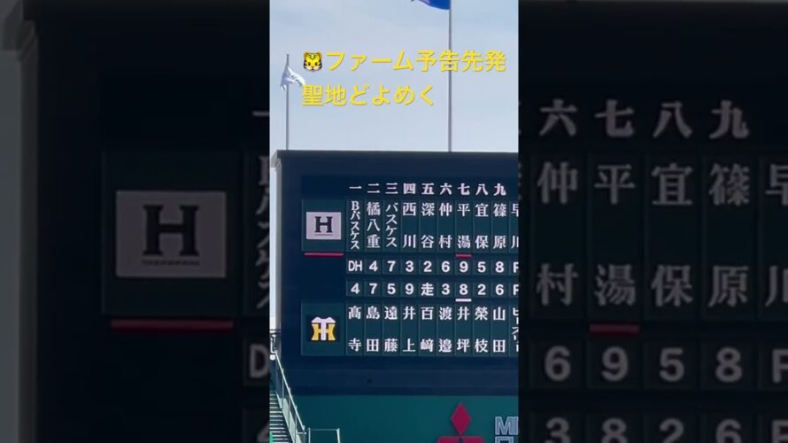 #髙橋遥人 投手予告先発で沸く #阪神甲子園球場