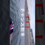 6/21の動画予告　#釣り#新潟#新潟釣り #fishing #shorts