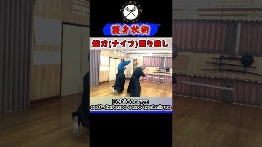錯乱！ナイフ振り回し！！【護身杖術】Ichidenryu self-defense cane technique #shorts#ショート#古武道#剣術#浅山一伝流#居合#関#samurai