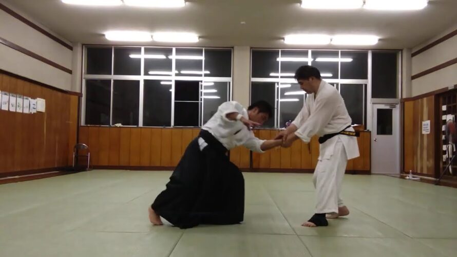 #shorts 護身術 10種類攻撃スロー披露  Japan Aikido 合気道護身術 【チャンネル登録】お願いします。