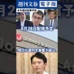 【記事予告】自民党総裁選「11人の精密検査」