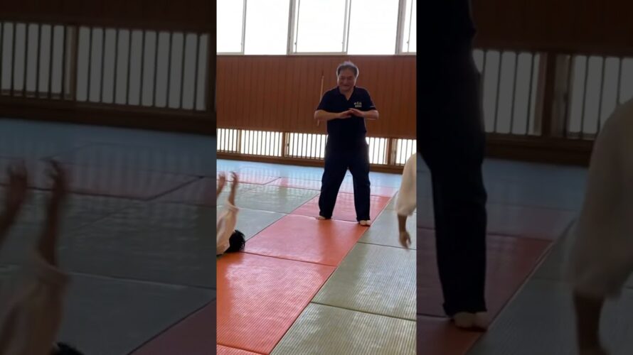 【準優勝】素手の合気道バトルがおもしろい‼️#合気道 #aikido #護身術 #selfdefense