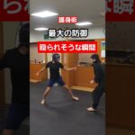 【長刀】対打撃技法。#護身術 #剣護身術 #女性護身術 #護身 #selfdefense #shorts