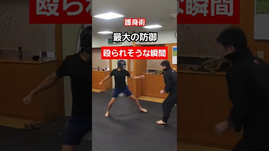 【長刀】対打撃技法。#護身術 #剣護身術 #女性護身術 #護身 #selfdefense #shorts