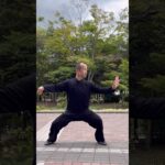 【護身術】陳式太極拳 金剛搗碓