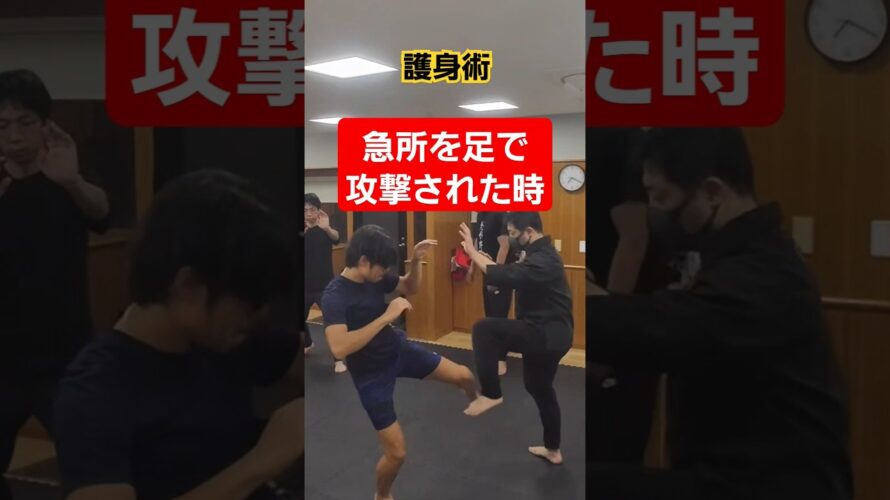 【急所を守る】 #護身術 #女性護身術 #剣護身術 #selfdefense　#護身 #空手 #shorts