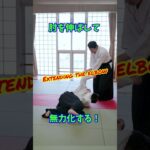 【小手返】手が刀に変わる⁉肘を伸ばして動きを止める　#martialarts #大東流合気柔術 #扶桑会 #合気道 #護身術 #aikido  #daitoryu #karate #古武道