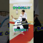 【危険】首に腕を巻き付けて背中を折る古武術　#martialarts #大東流合気柔術 #扶桑会 #合気道 #護身術 #aikido  #daitoryu #karate #古武道 #古武術 #武道