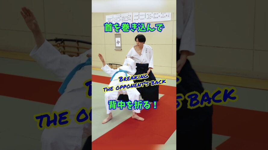 【危険】首に腕を巻き付けて背中を折る古武術　#martialarts #大東流合気柔術 #扶桑会 #合気道 #護身術 #aikido  #daitoryu #karate #古武道 #古武術 #武道