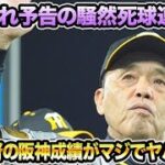 【ブチギレ予告の死球連発も】岡田監督の阪神成績がマジで色々ヤバ過ぎる件について!! 森下が不穏な途中交代など最新事情を徹底解説【阪神タイガース】