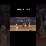 カブレラにストレート予告をする藤川球児#プロ野球#おすすめ #funny #shorts