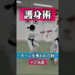 ぐるん👜　🥋合気道護身術シリーズ【毎日20時更新中】🥋　#護身術　#合気道　#錬身会　#明治学院大学 #白金 #戸塚 #横浜 #明学 #合気道部