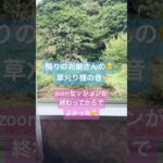 田舎あるある！草刈り機の爆音が予告無しに聞こえてくる🔈