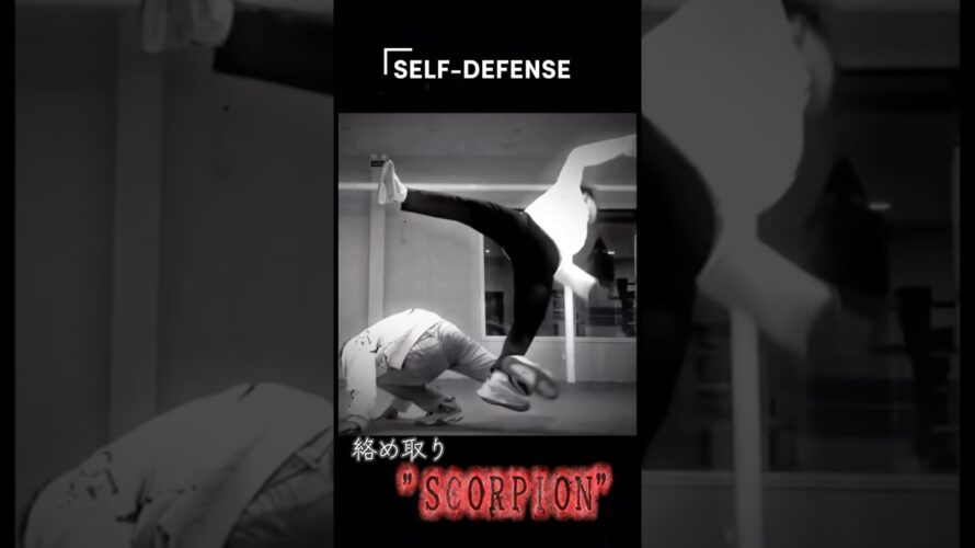 SELF DEFENSE!! 護身術”scorpion”#高評価お願いします #空想護身術 #護身術 #SELEDEFENSE #喧嘩 #タイマン #身を守る #格闘技