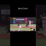 砂川リチャードの予告ホームラン#プロ野球#おすすめ #funny #shorts