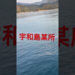 次回予告〜宇和島遠征〜