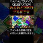 わんわんパラダイス CELEBRATION わんわんRUSH ブル目予告