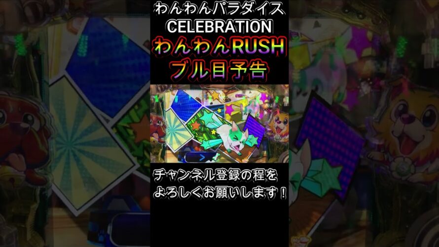 わんわんパラダイス CELEBRATION わんわんRUSH ブル目予告