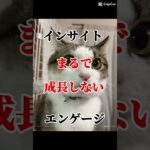 エヴァの次回予告風 #cat #shorts