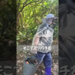 薩摩川内SDGsチャレンジストーリー予告【こしきハニーのぶ工房①】