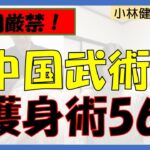 【悪用厳禁】中国武術、護身術56　ボールペンで身を守る！