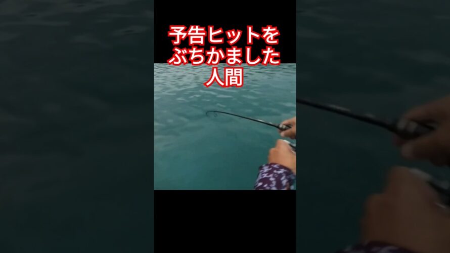 トップウォーターゲーム一投目で予告ヒットを的中させた #fishing #釣り