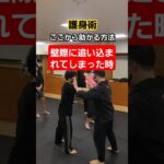 【壁際の護身術】#護身術 #護身 #女性護身術 #剣護身術 #selfdefense #shorts