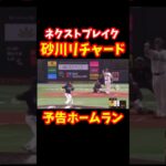 【今から打つよ？】砂川リチャードが予告HRを放つw#shorts #リチャード #野球