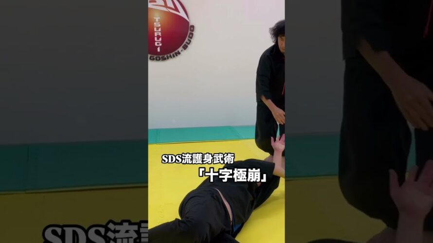 SDS流護身武術「十字極崩」　#護身術 #剣護身術 #martialarts #格闘技 #ナイフ #shorts #short