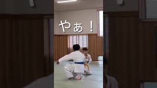 護身術系　〜ひょいっとね。ひゅーストン〜　#kiaikido #心身統一合氣道  #aikido #合気道  #武道 #martialarts