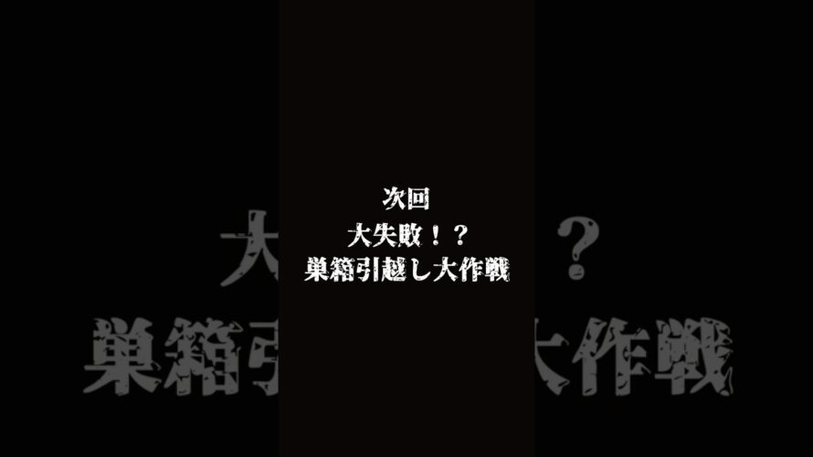 【ワンピース風次回予告】ワンピースみたいに次回予告してみた３ ＃養蜂　#養蜂家 ＃ワンピース ＃ピカチュウ #onepieceedit