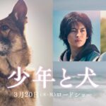 映画『少年と犬』予告映像【2025年3月20日(木・祝)公開】