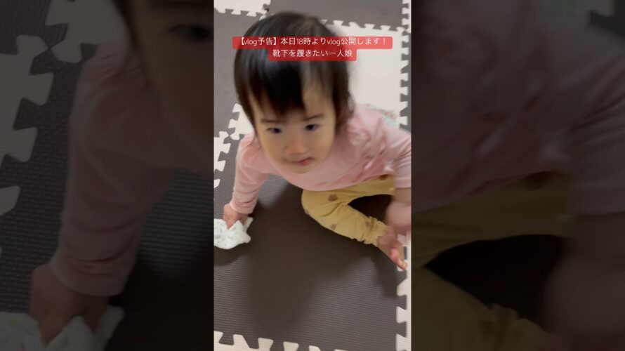 【vlog予告】靴下を履きたがる一人娘 #shorts #育児 #赤ちゃん #可愛い