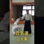 合気道　二ヶ条　#合気道 #aikido #塩田剛三 #養神館 #護身術