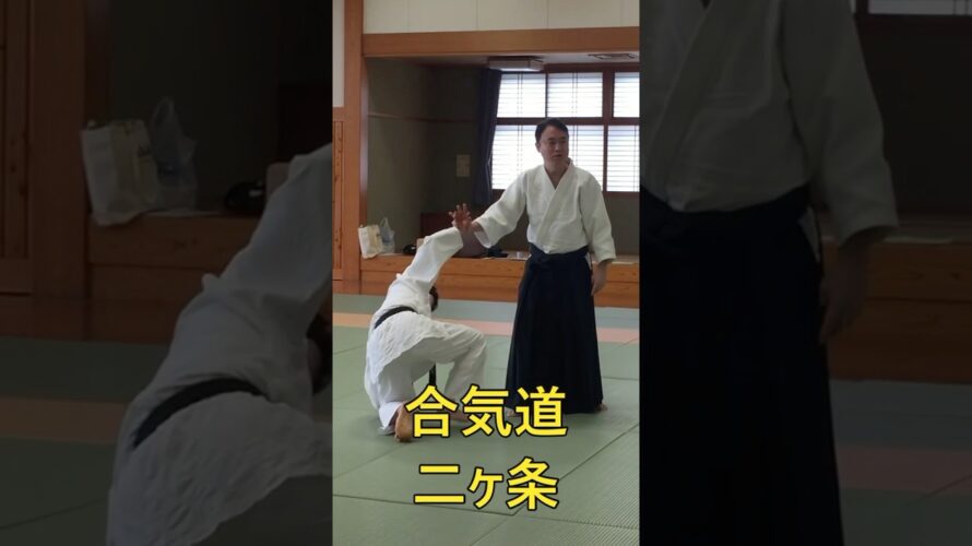 合気道　二ヶ条　#合気道 #aikido #塩田剛三 #養神館 #護身術